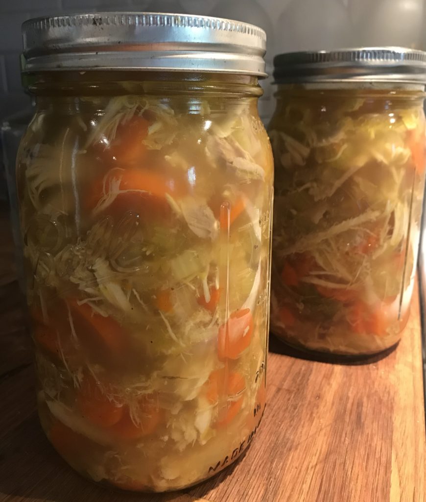 Instant Pot Paleo chicken soup